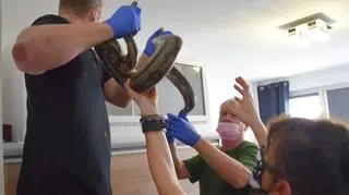 The snakes were kept in inadequate conditions to say the least