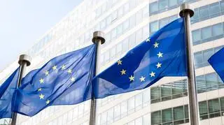 All member states must ratify the decision to allow the EU to borrow 750 billion euros