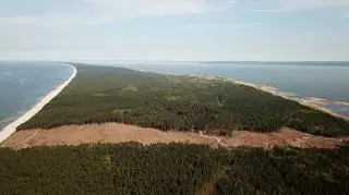 A logged strip of land for the planned canal