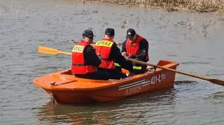 Firefighters saved the little cranes