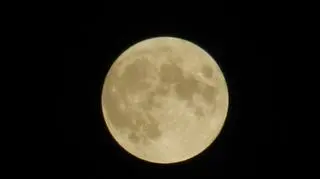 Pełnia myśliwych