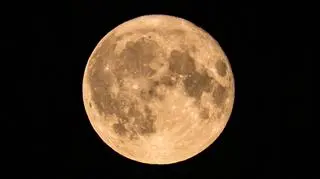 Pełnia Koźlego Księżyca. Chojnice (woj. pomorskie).