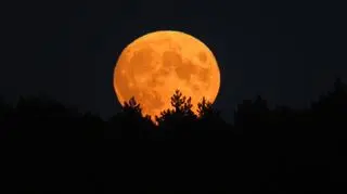 Pełnia Księżyca Myśliwych
