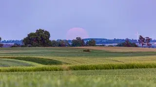 Pełnia Truskawkowego Księzyca. Chojnice (woj. pomorskie).