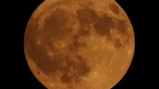 Truskawkowy Księżyc w Jabłonnie