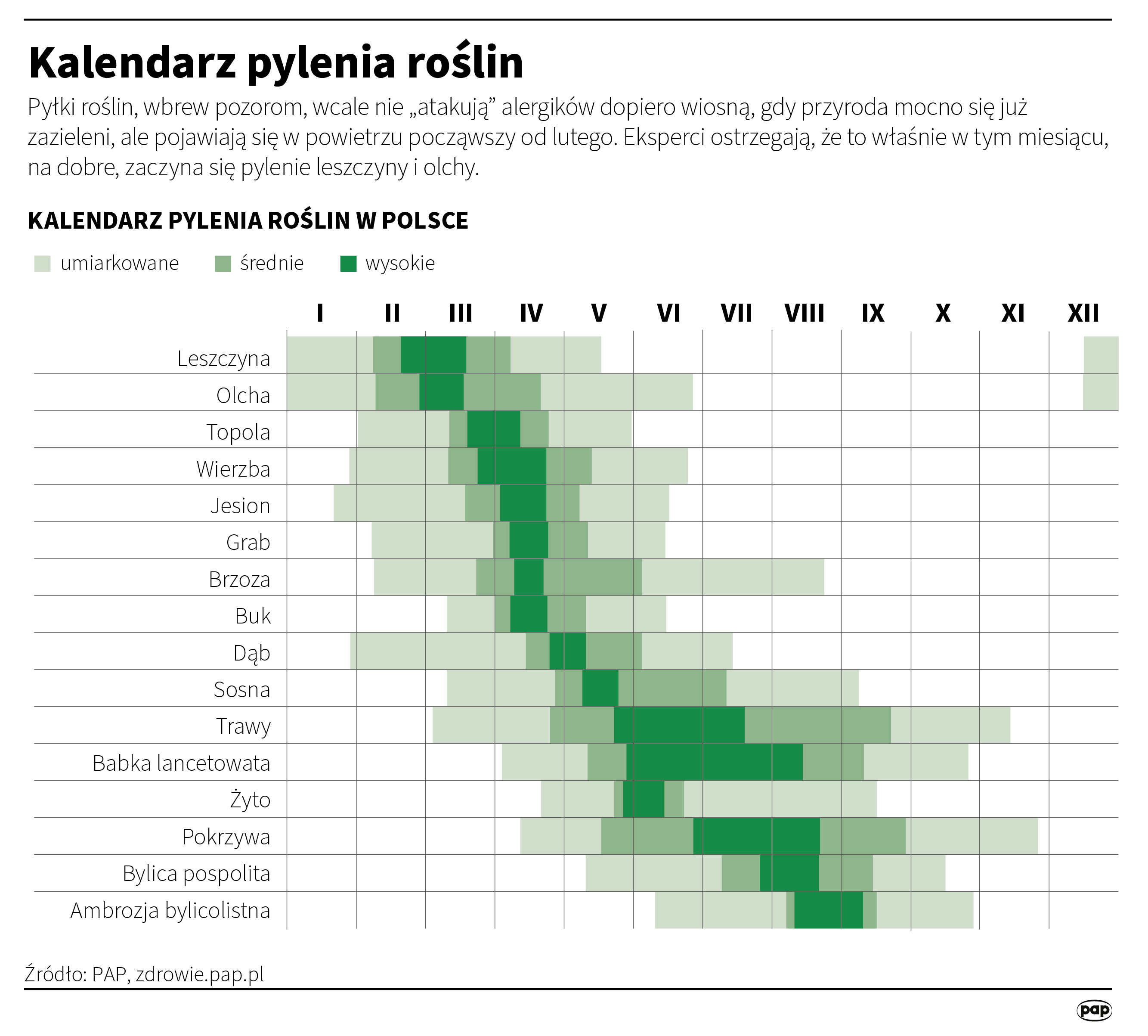 Kalendarz pylenia roślin