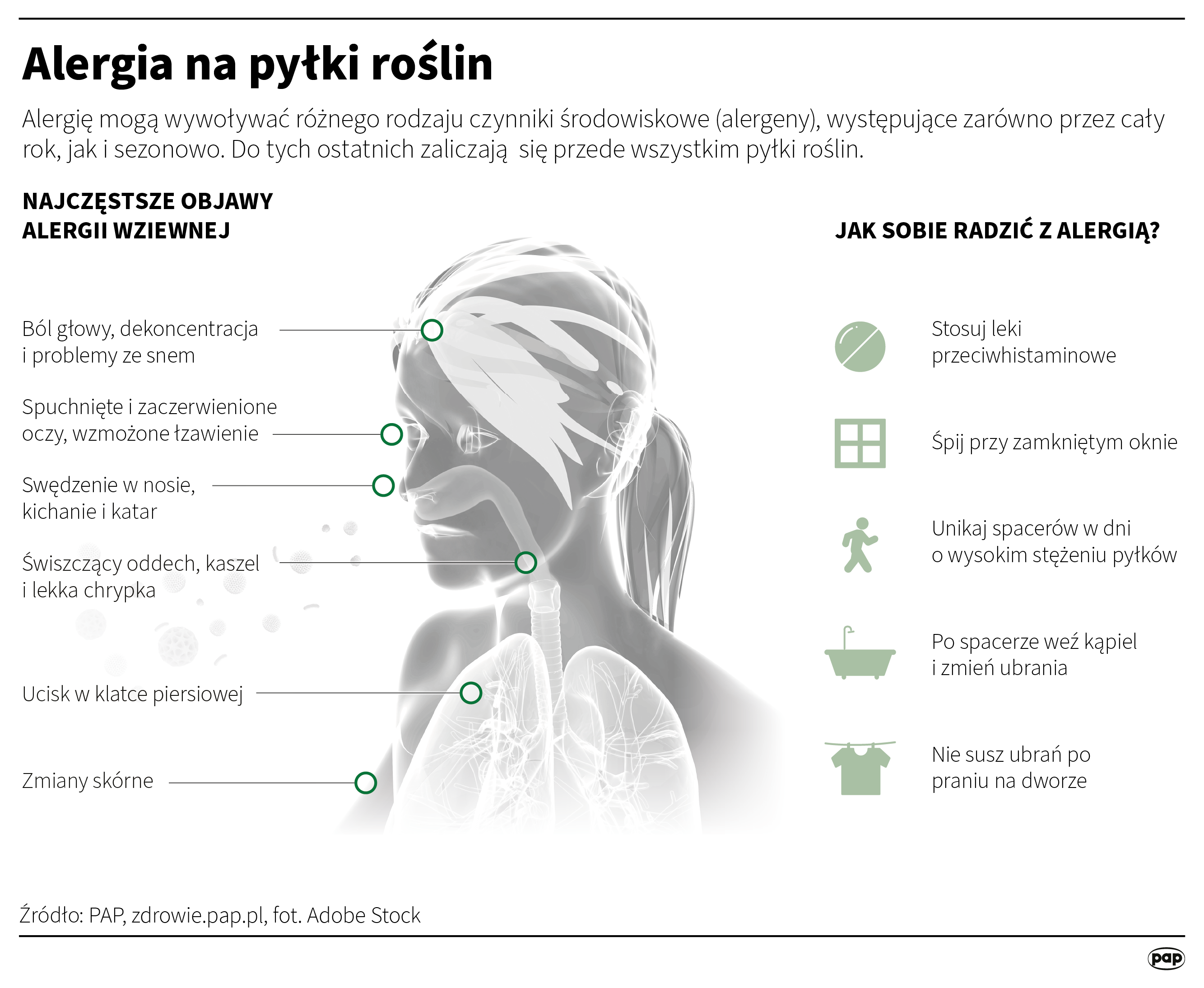 Alergia na pyłki roślin