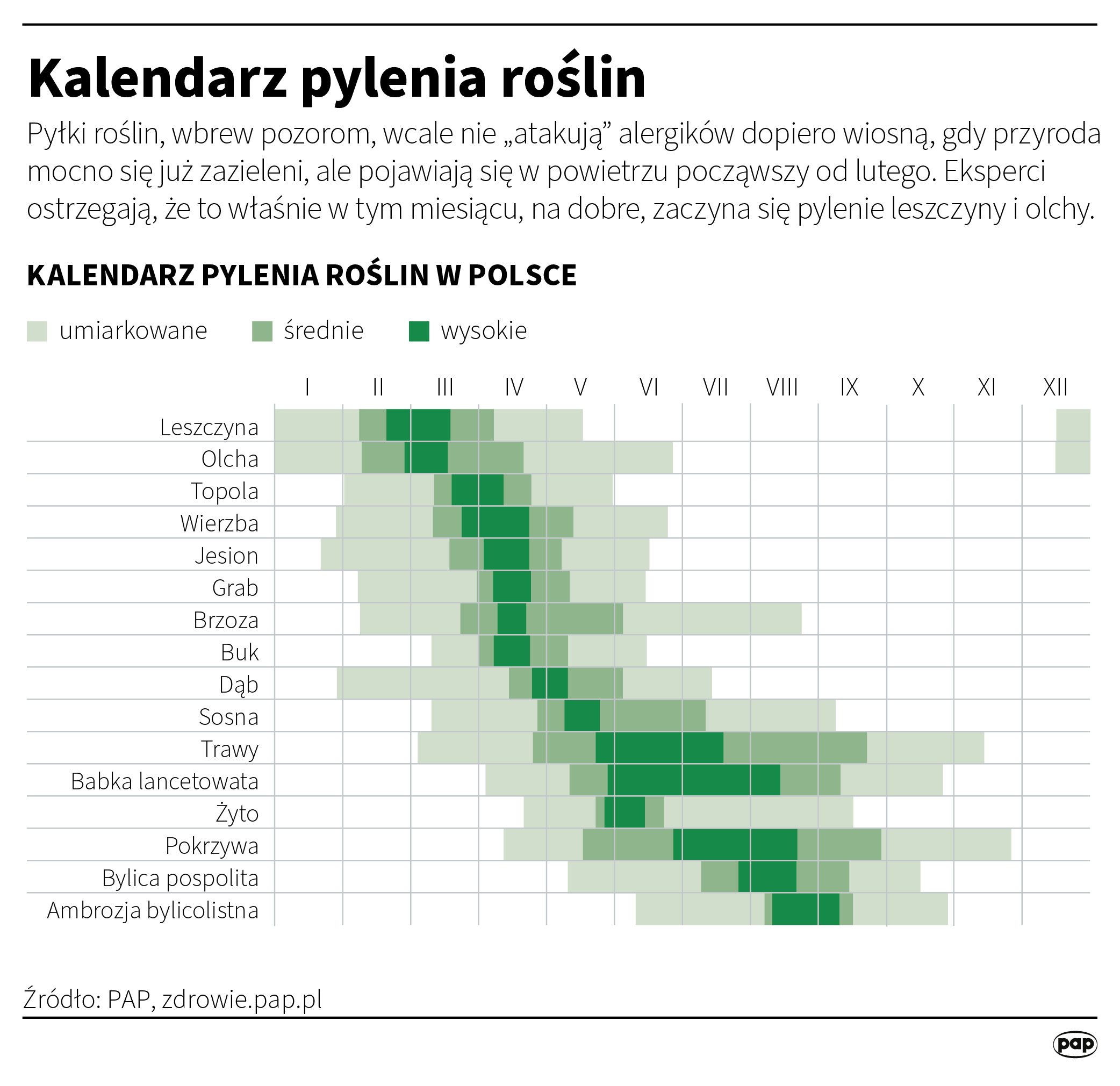 Aktualnie czytasz: Sezon na alergie. Jakie objawy, kto może być uczulony, metody leczenia - immunoterapia