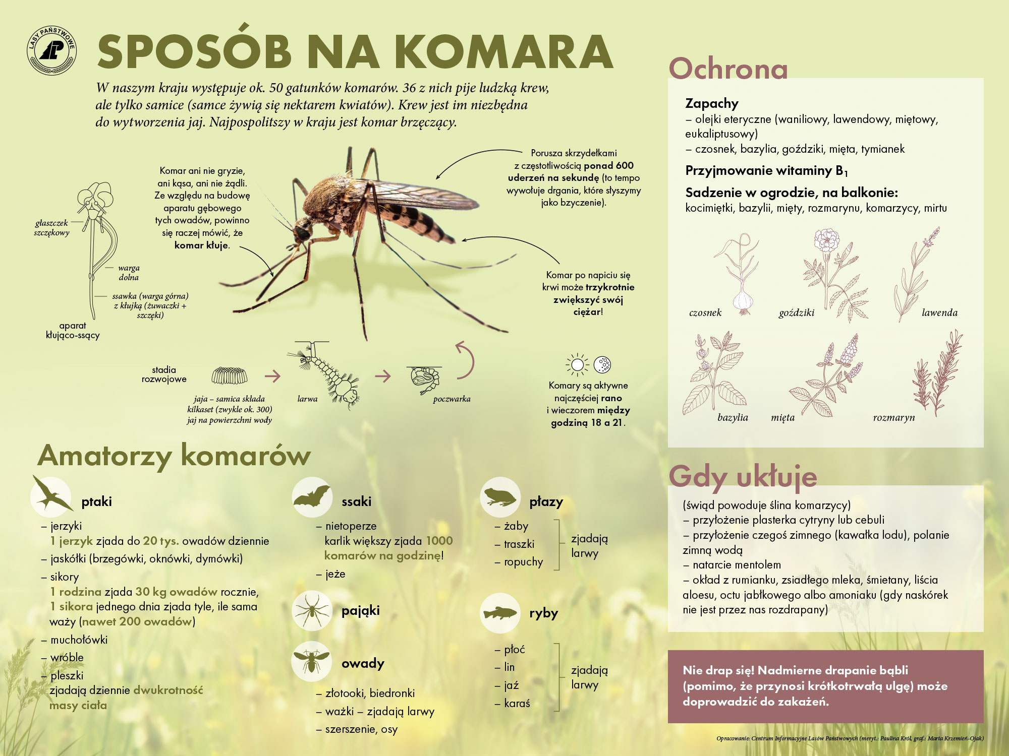 Sposób na komara