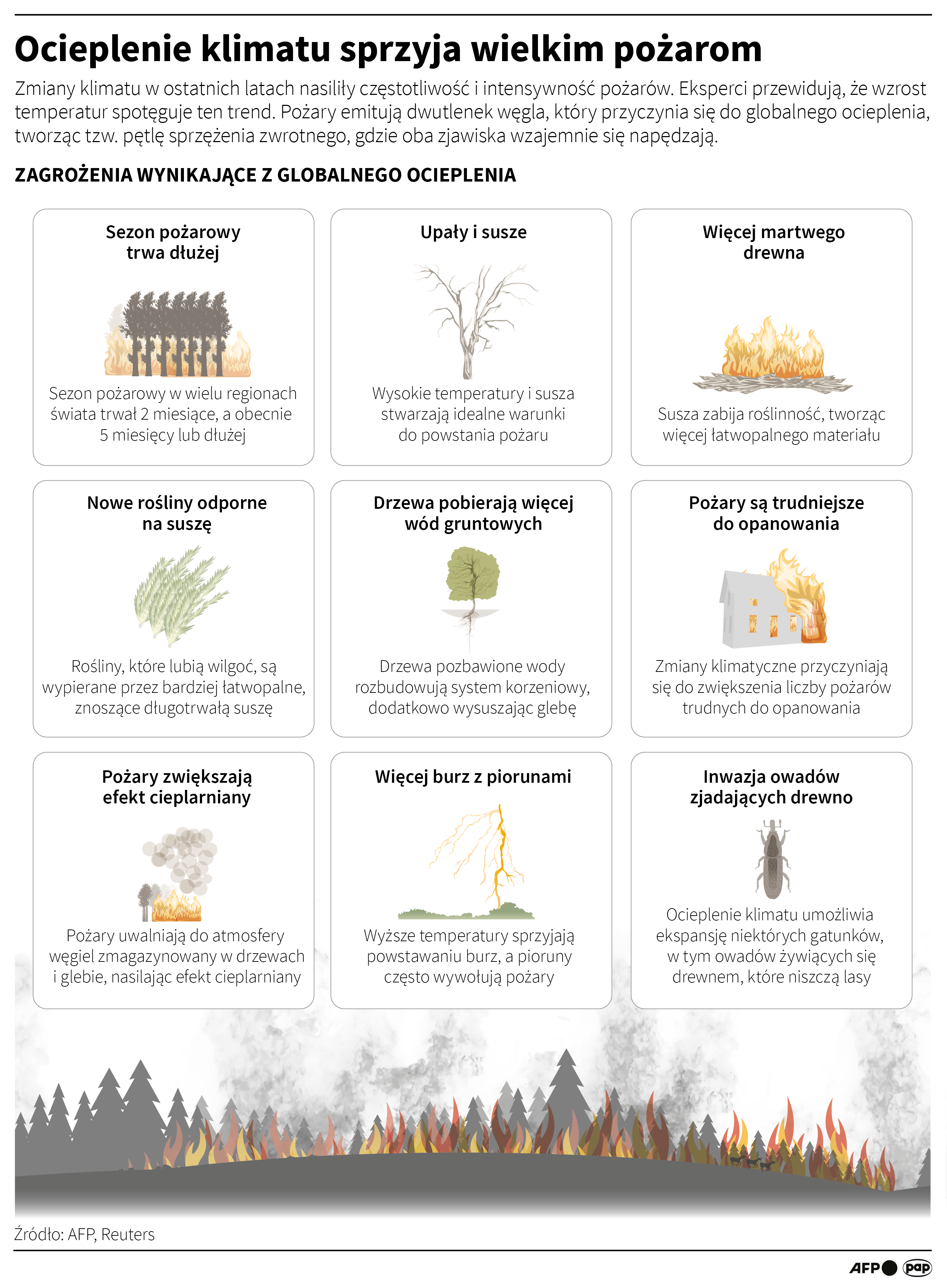 Ocieplenie klimatu sprzyja wielkim pożarom