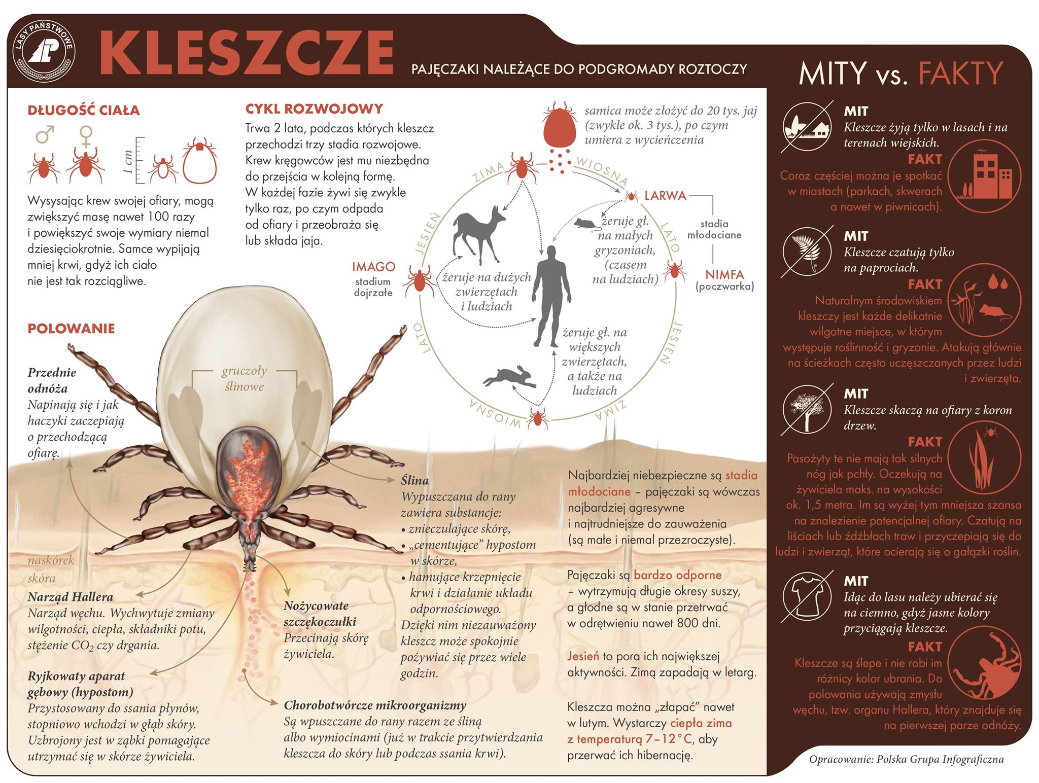 Informacje o kleszczach