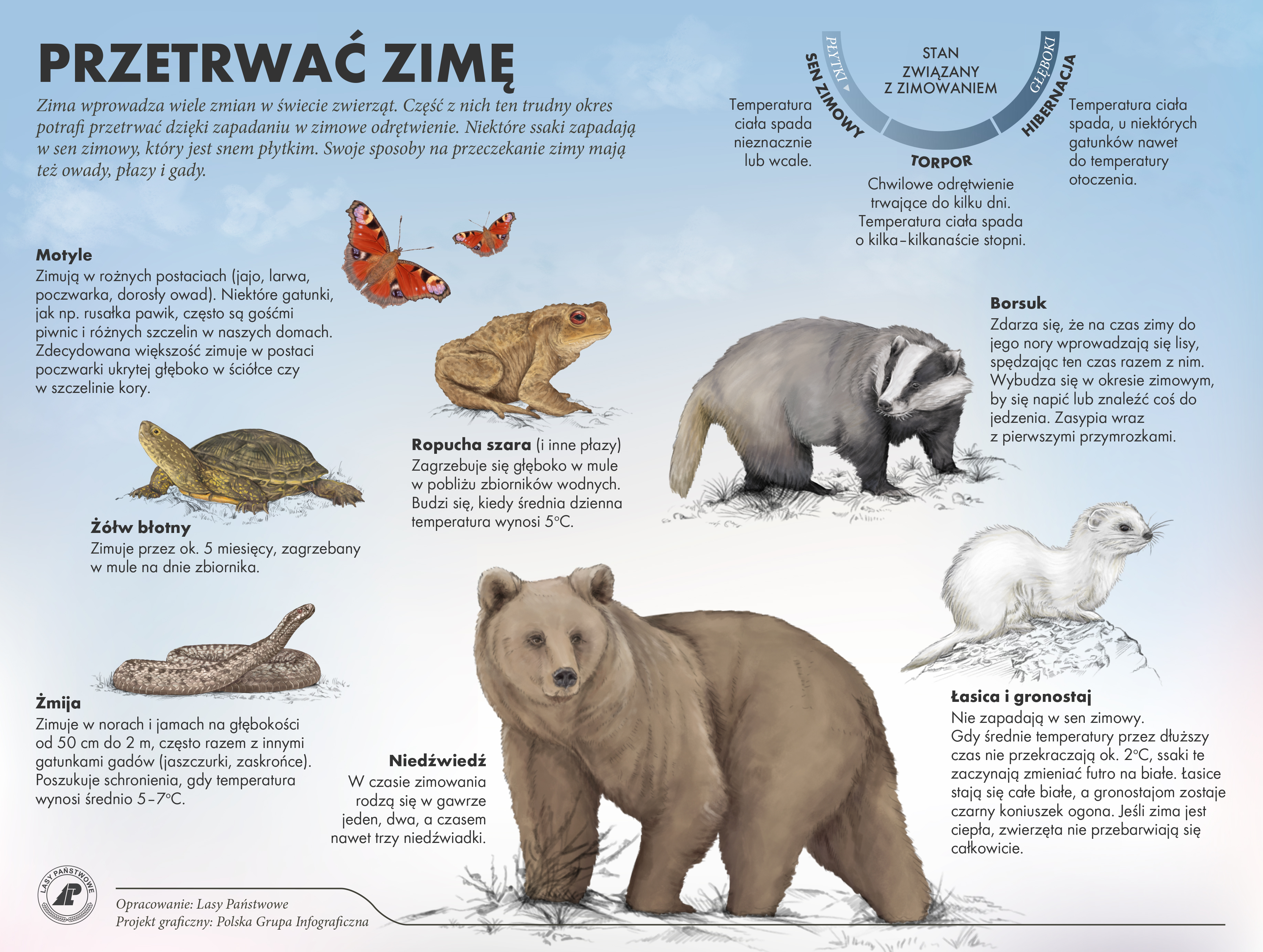 Jak przetrwać zimę