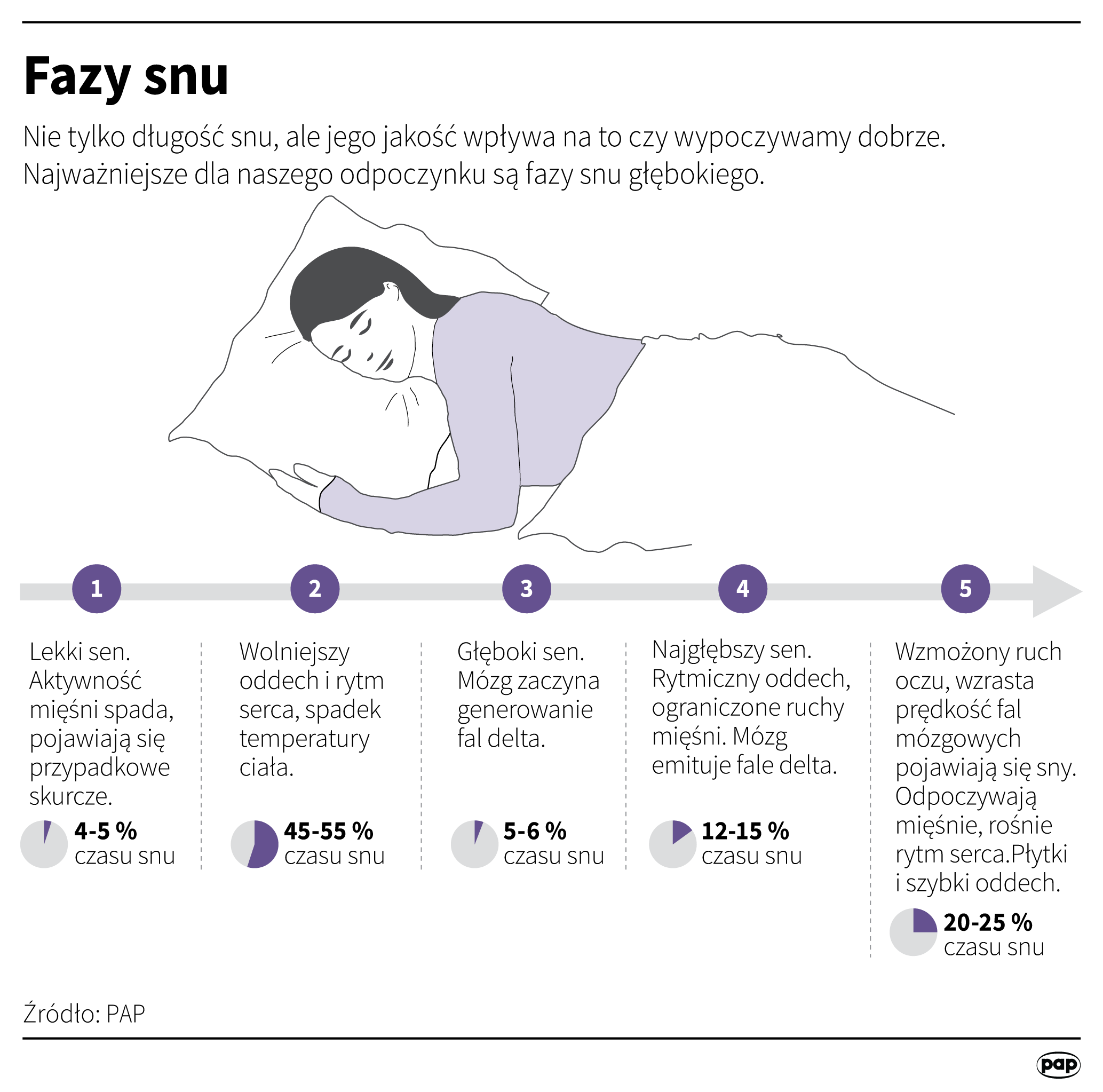 Fazy snuu