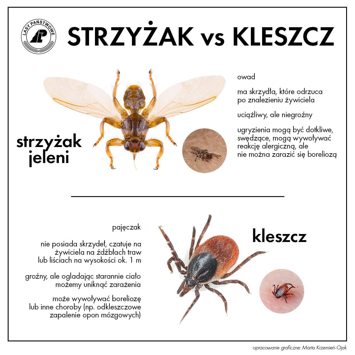 Strzyżak jeleni kontra kleszcz