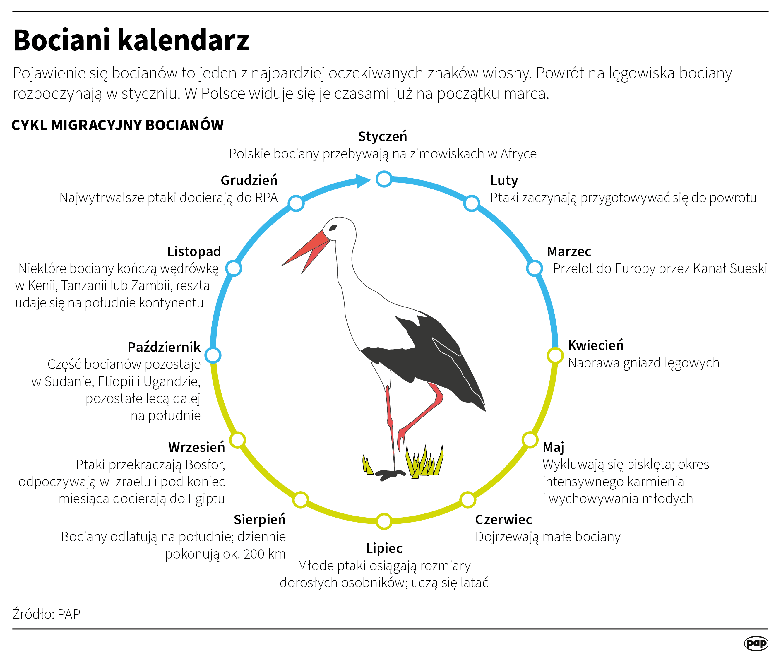 Bociani kalendarz