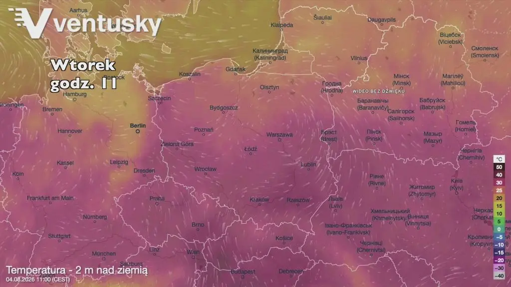 Klatka kluczowa-603786