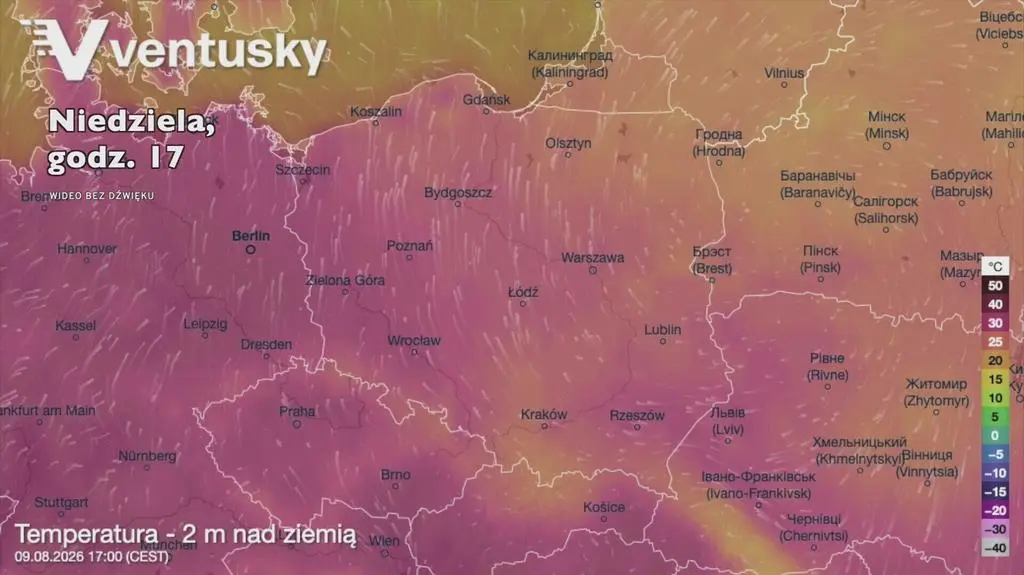 Klatka kluczowa-614276