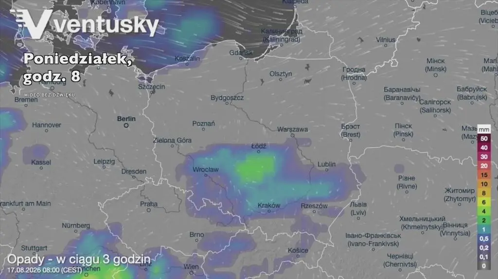 Klatka kluczowa-631081