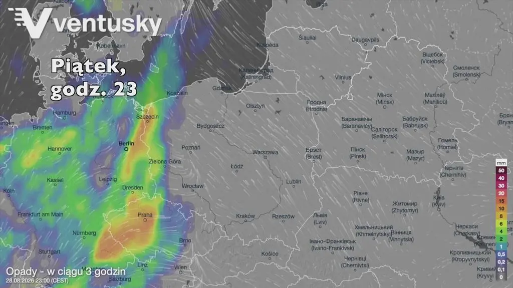 Klatka kluczowa-651354