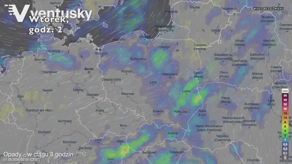 Klatka kluczowa-665678