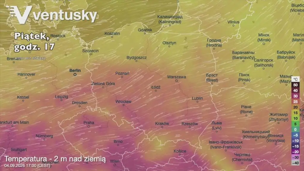 Klatka kluczowa-674604