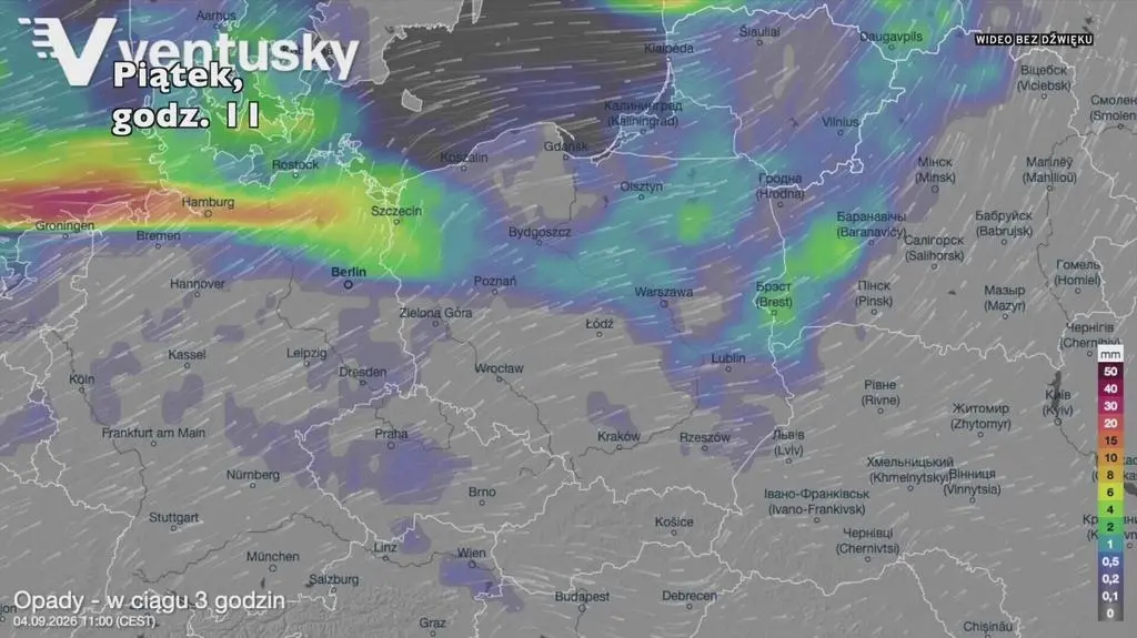 Klatka kluczowa-675511