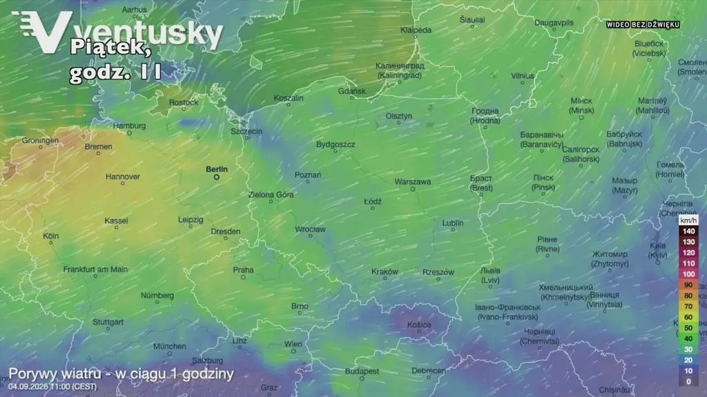 Klatka kluczowa-675536