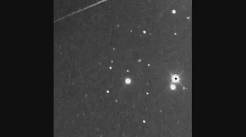 Asteroidę nazwano imieniem Freddiego Merkurego