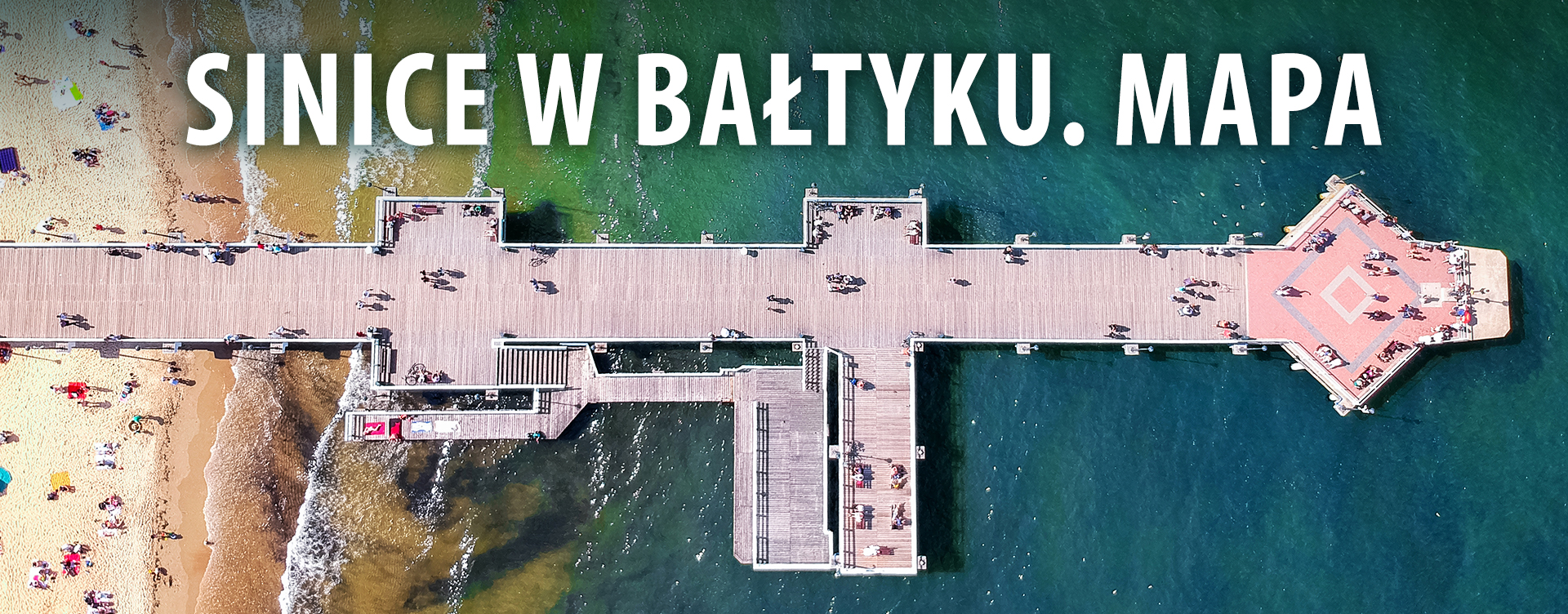 Sinice w Bałtyku. Mapa