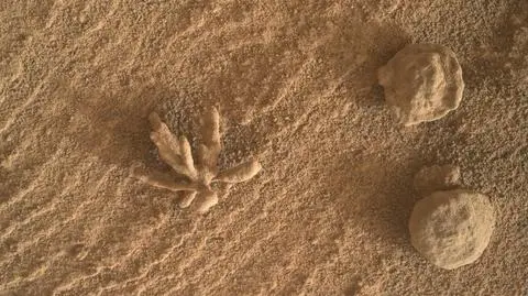 Mineralny "kwiat" na powierzchni Marsa. Nowe zdjęcie łazika Curiosity