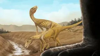 Tak mógł wyglądać najstarszy prekursor dinozaura w Ameryce Południowej