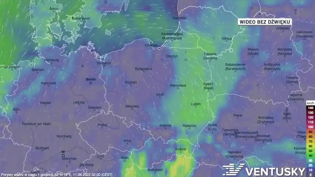 Prognozowane porywy wiatru w dniach 11-15