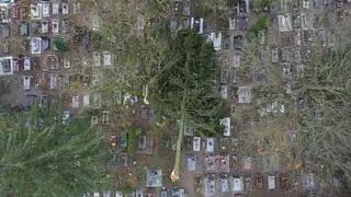 Zniszczenia na cmentarzu