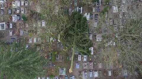 Zniszczenia na cmentarzu