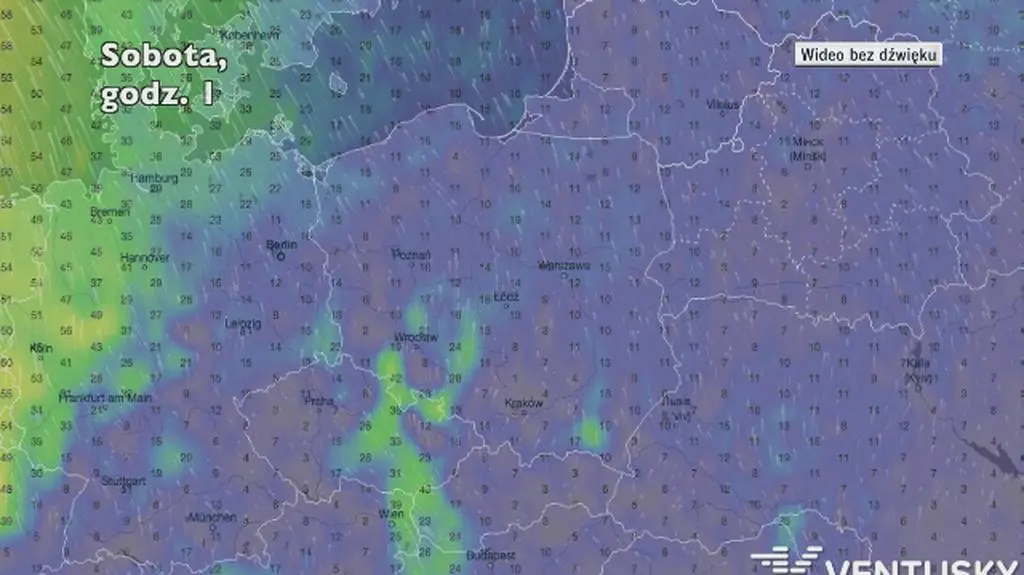 Prognozowane porywy wiatru w najbliższych dniach