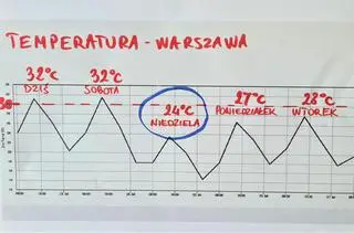 Wykres temperatury w Warszawie 