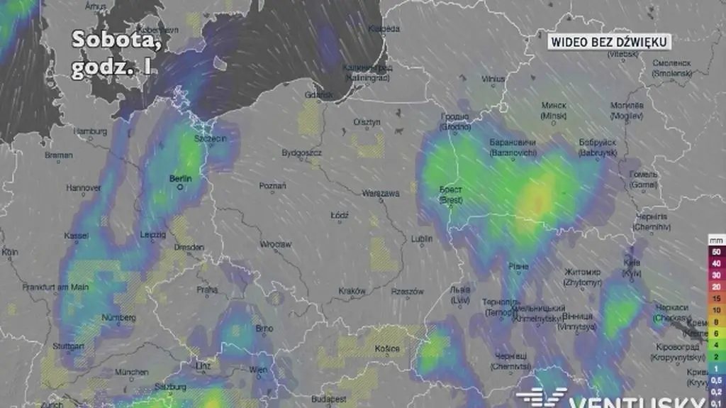 Prognozowane opady w ciągu najbliższych dni (Ventusky