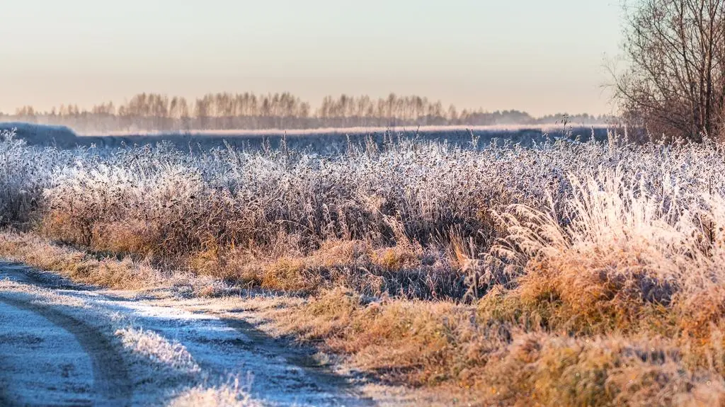 Noc z przeszywającym mrozem. Tu było lodowato