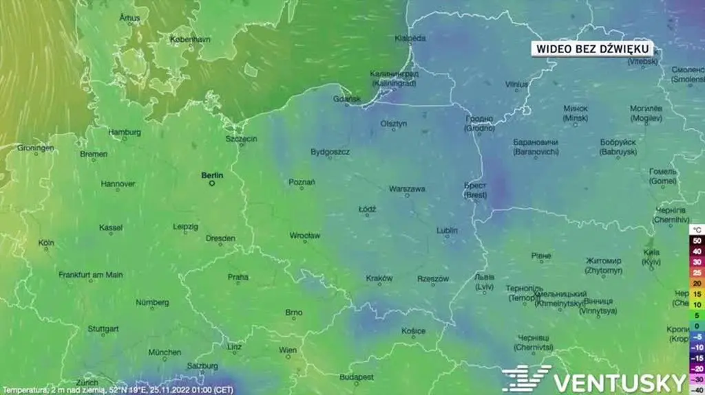 Prognozowana temperatura w dniach 25-29