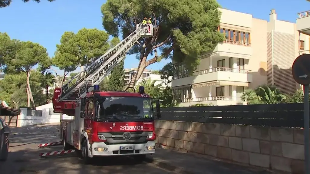 Klatka kluczowa-5898