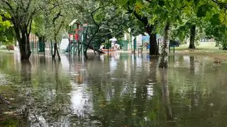 Sprzątanie po nawałnicy w Ostrowiu Wielkopolskim