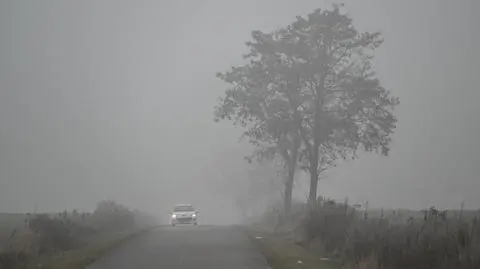 Mgła, zgniły wyż, pochmurno, szaro, ponuro, pogoda, jesień, zima, Lubelszczyzna