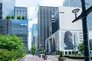 Houston w Teksasie