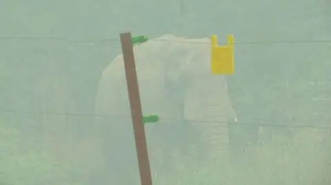 Smog w zoo. Trzeba było ruszyć na pomoc zwierzętom