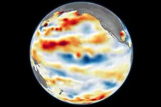 Zjawisko La Nina (oznaczone na niebiesko) w styczniu 2025 roku