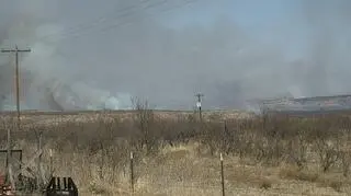 Pożar szaleje w Teksasie. "Ogień z łatwością może się rozprzestrzeniać"