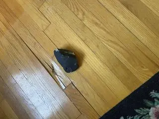 Meteoryt
