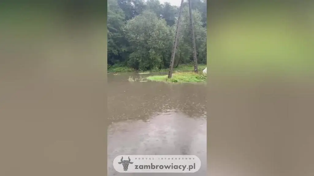zambrow