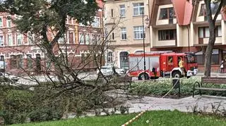 wichura nad Lęborku