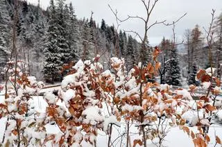 W Zakopanem spadł śnieg